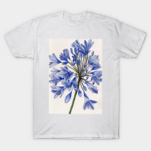 Agapanthus flower watercolour painting T-Shirt